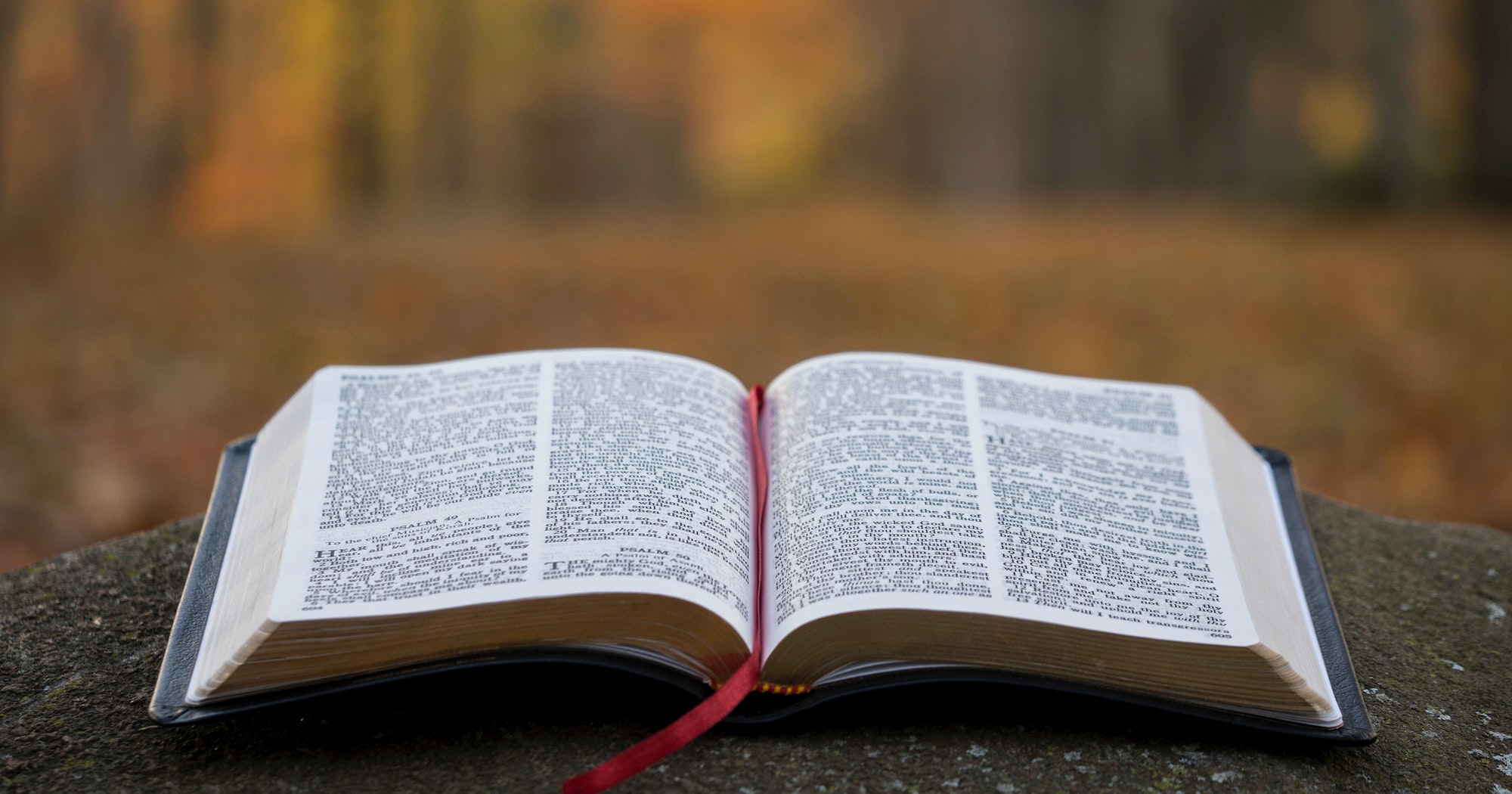 bible-img